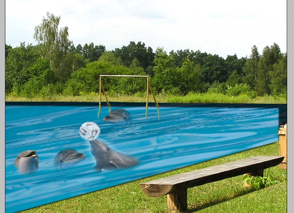 Creation of Dolphin Trophy: Step 3